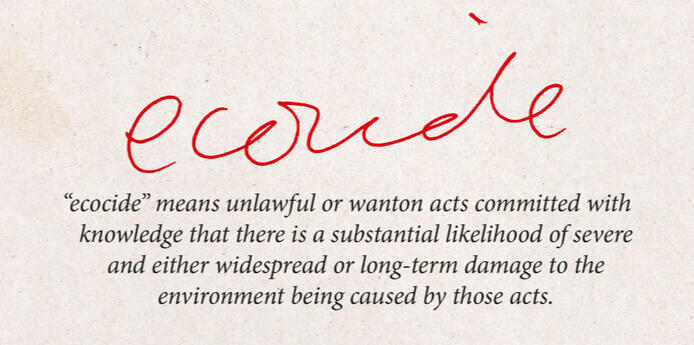 Ecocide definition