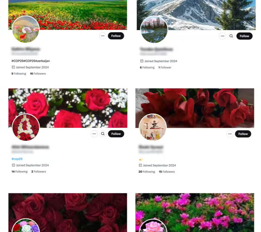 Many accounts promoting Azerbaijan and Cop29 have been set up recently and are part of networks following each other. Image composite: Guardian Design/X.